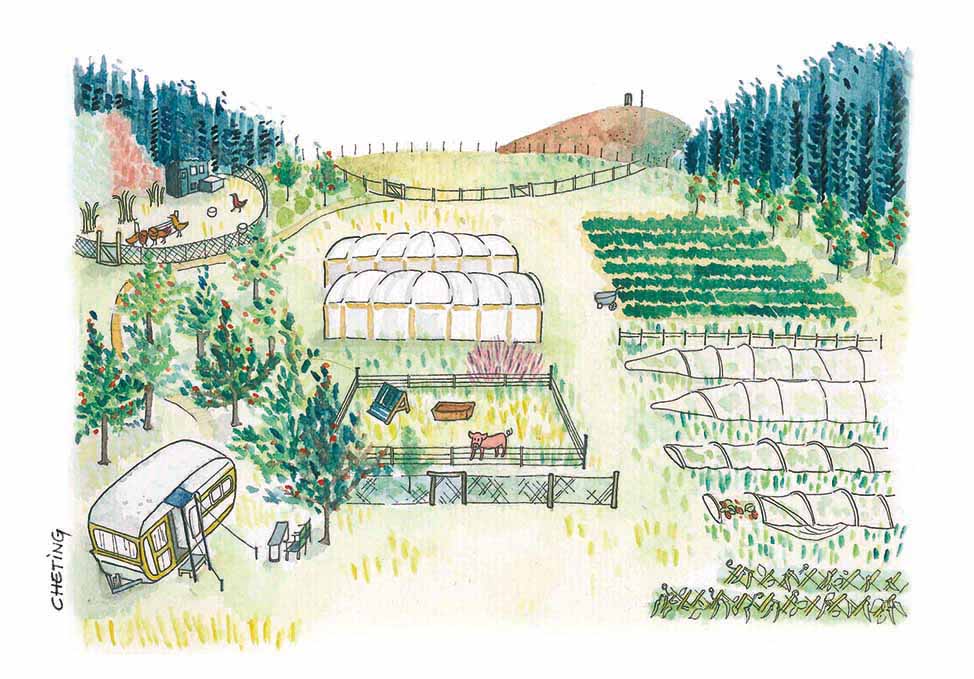 Journey and I - Caravan lifestyle in an orangic farm, New Zealand