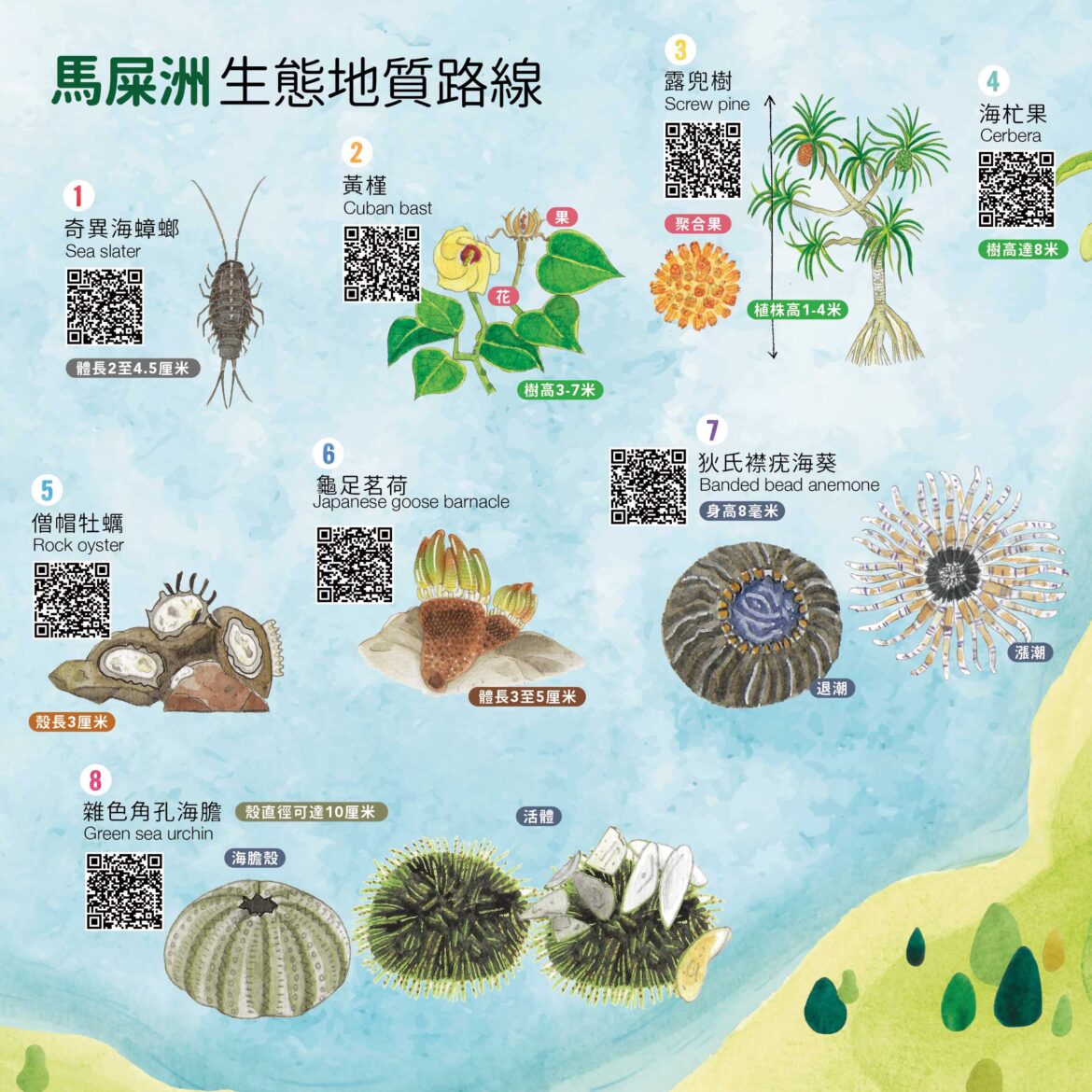 Ma Shi Chau Visual Map