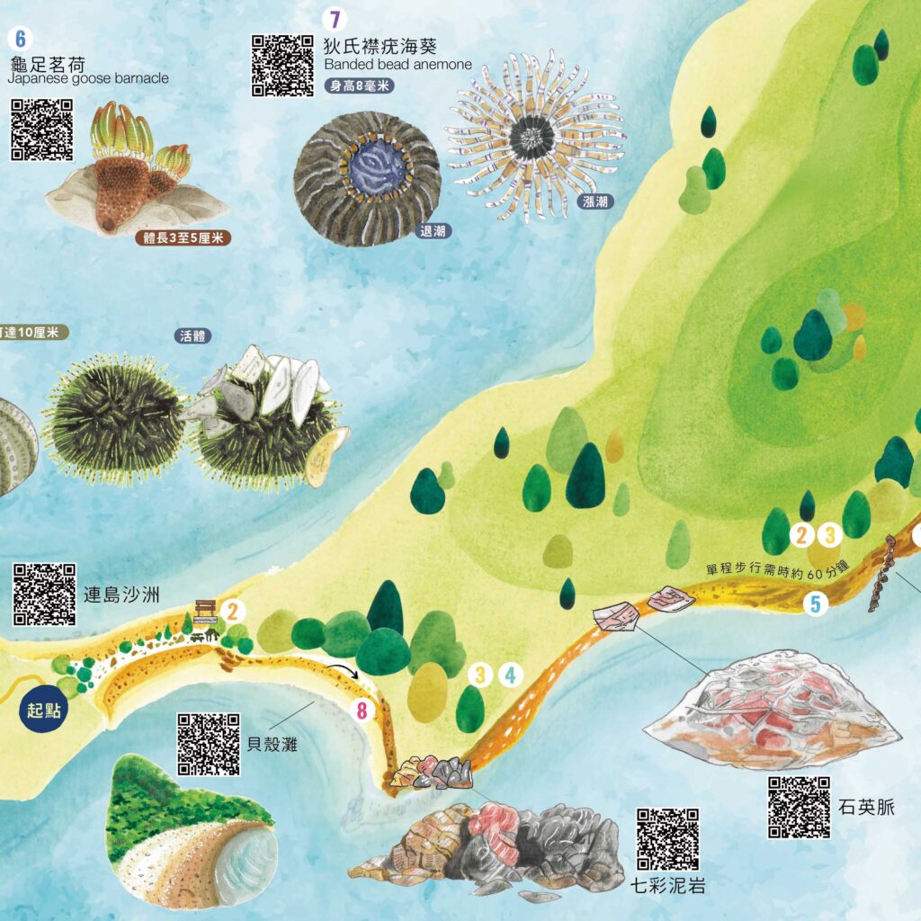 Ma Shi Chau Visual Map