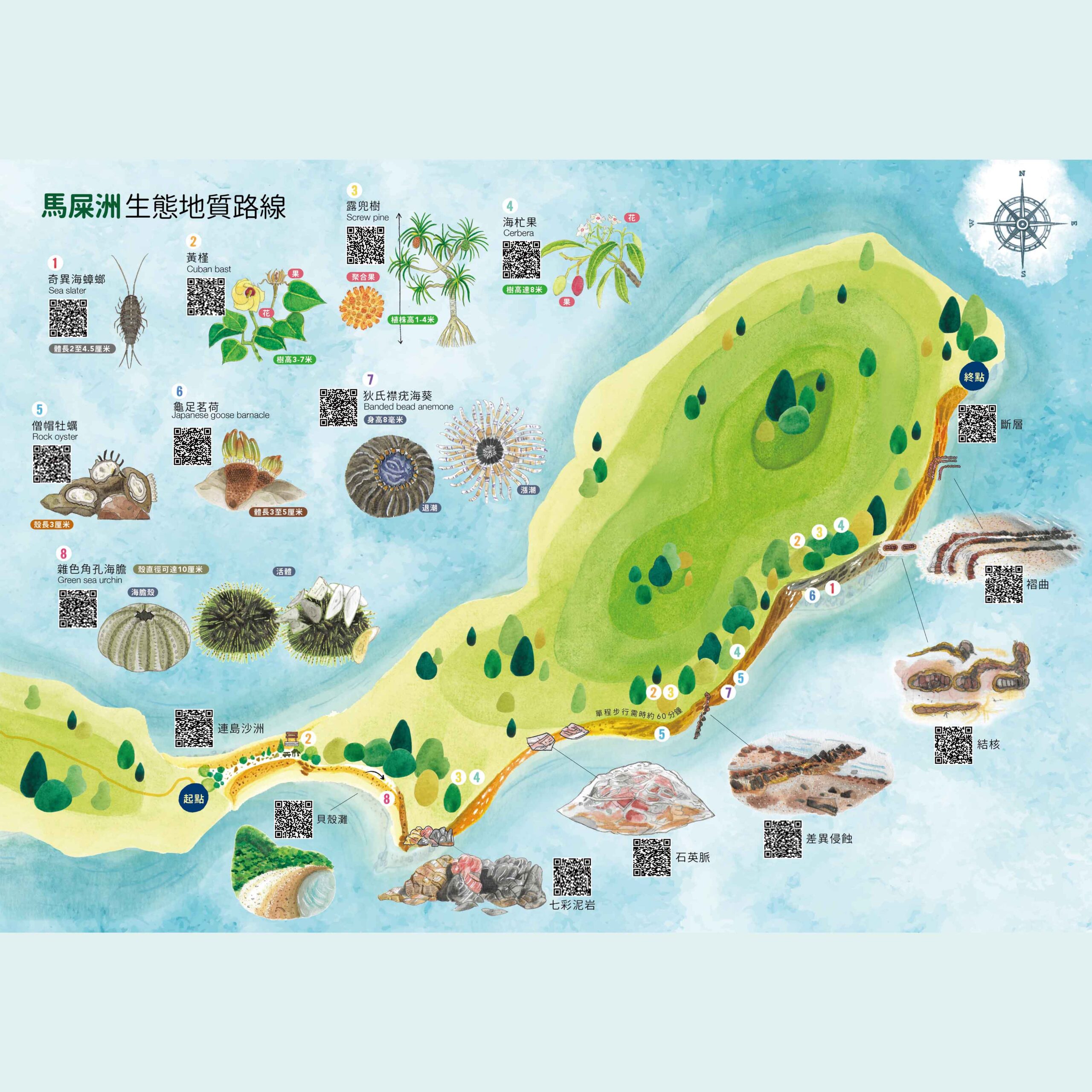 Ma Shi Chau Visual Map