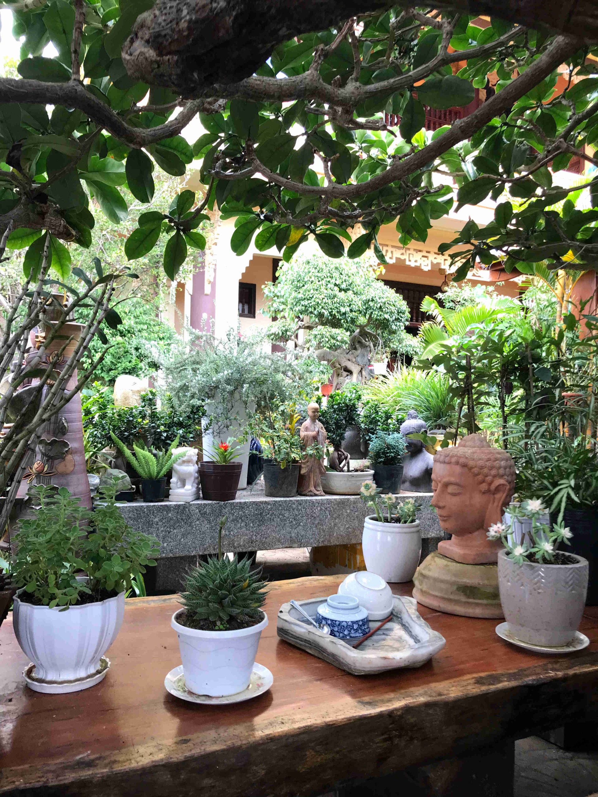 A false digital nomad in Vietnam - hidden temple