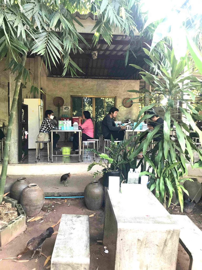 Family Trip in Northern Thailand -Fancy Pad Thai Restaurant