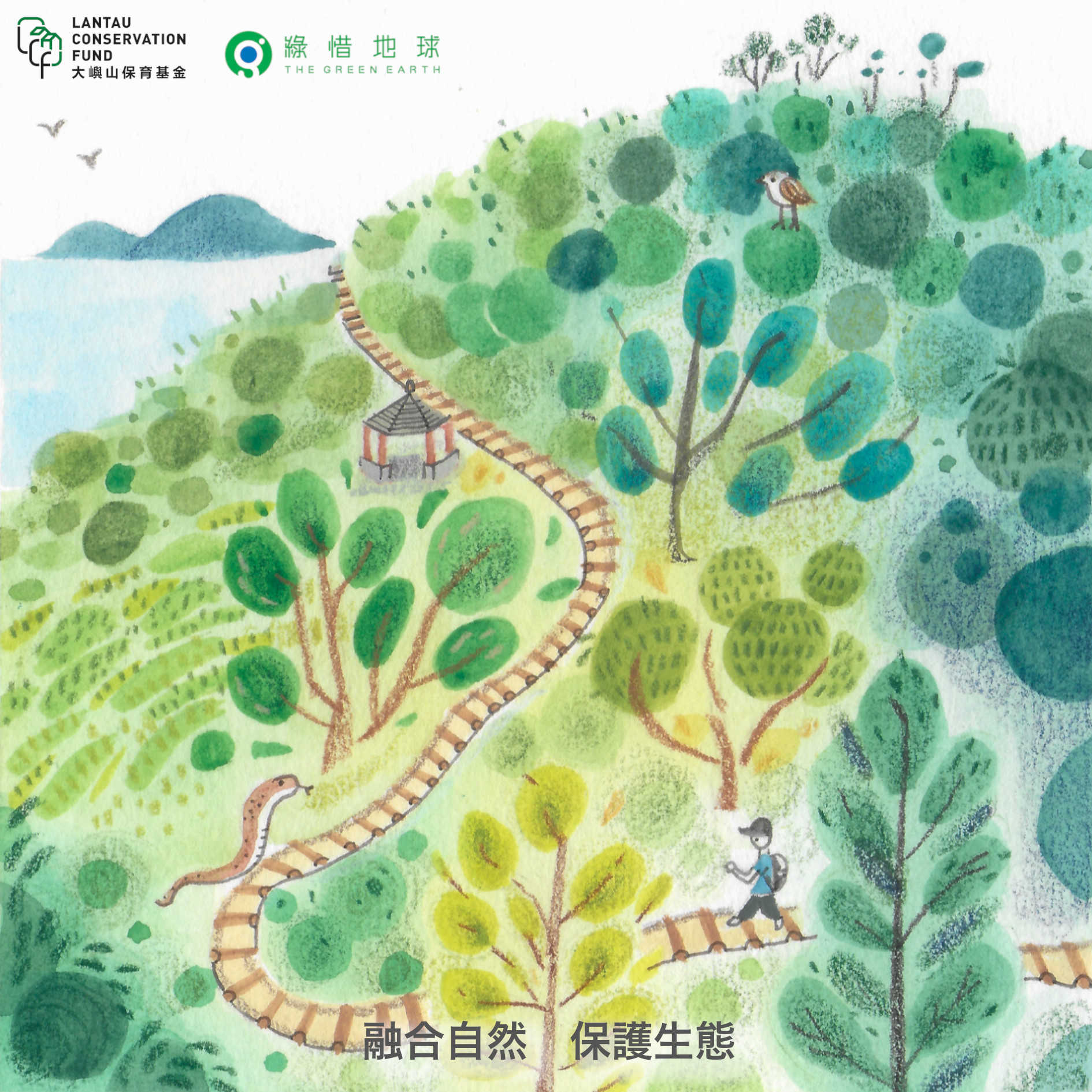 eco-craft trails - what