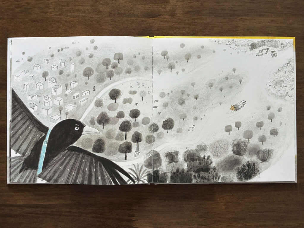 Picture Book Gifted_inside 03